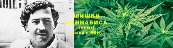 прущие грибы Алексин