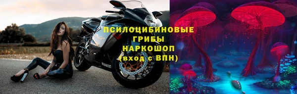 прущие грибы Алексин