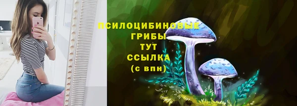 прущие грибы Алексин