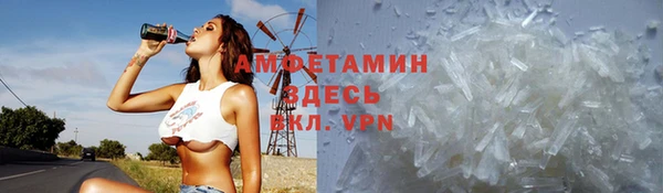 прущие грибы Алексин
