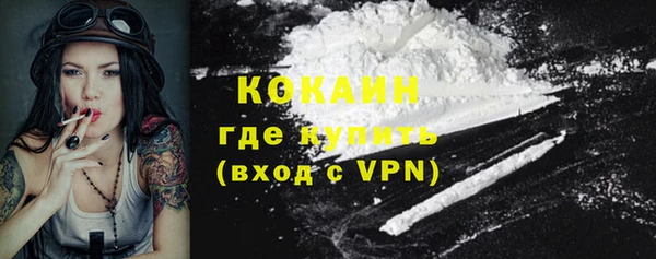 спайс Алзамай