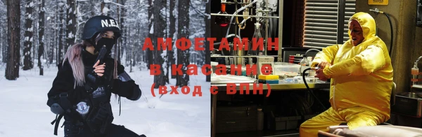 прущие грибы Алексин